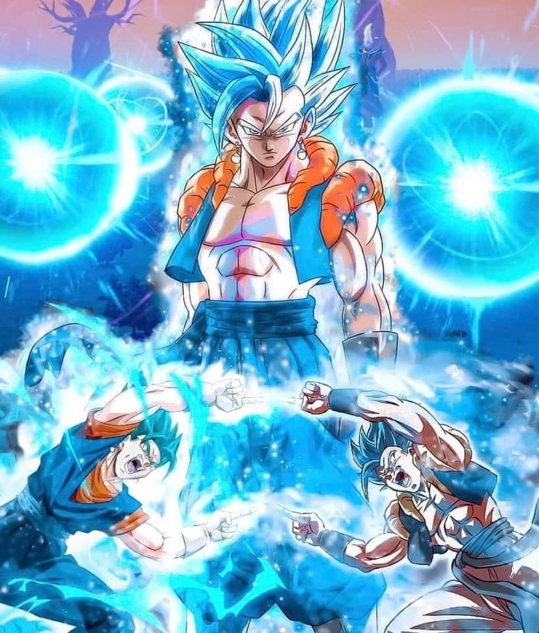 Pashyn cover image