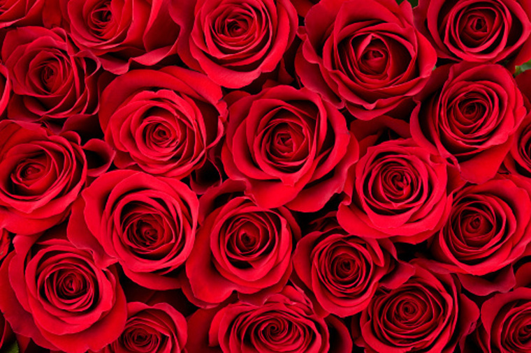 Passion banner image