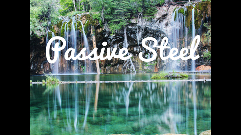 PassiveSteel cover image