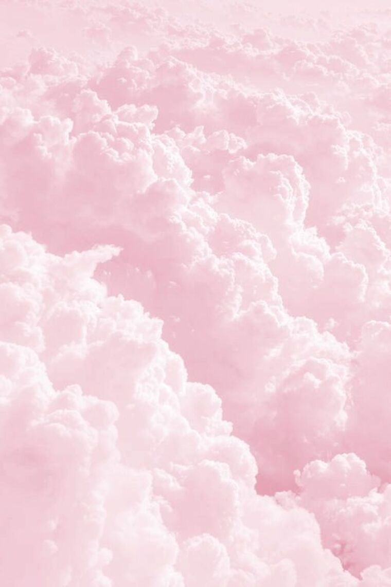 Melon cover image