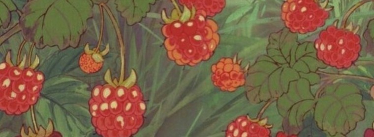 MaeFlowers banner image