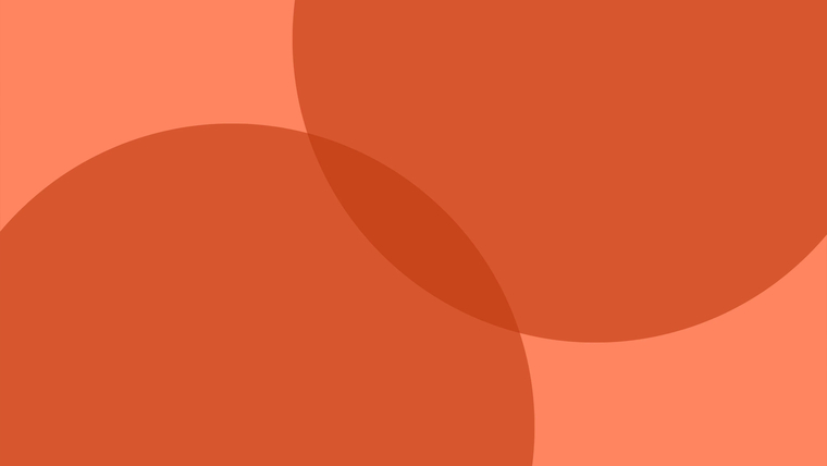 Paty cover image