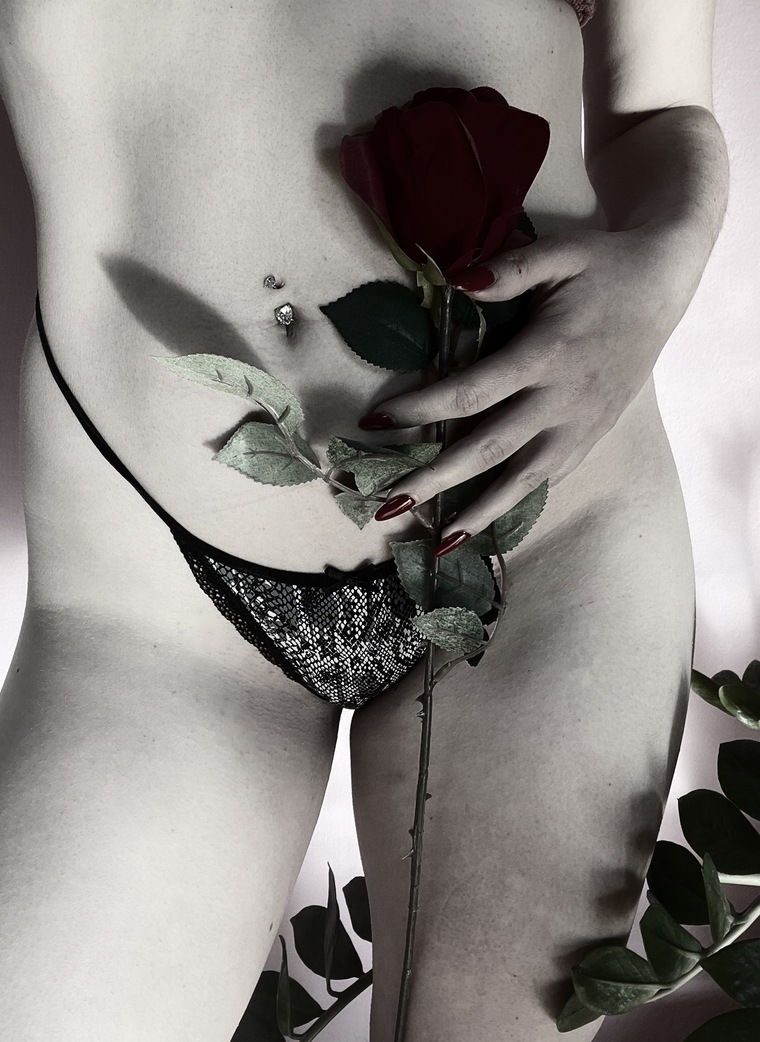 Paulina Foxx banner image