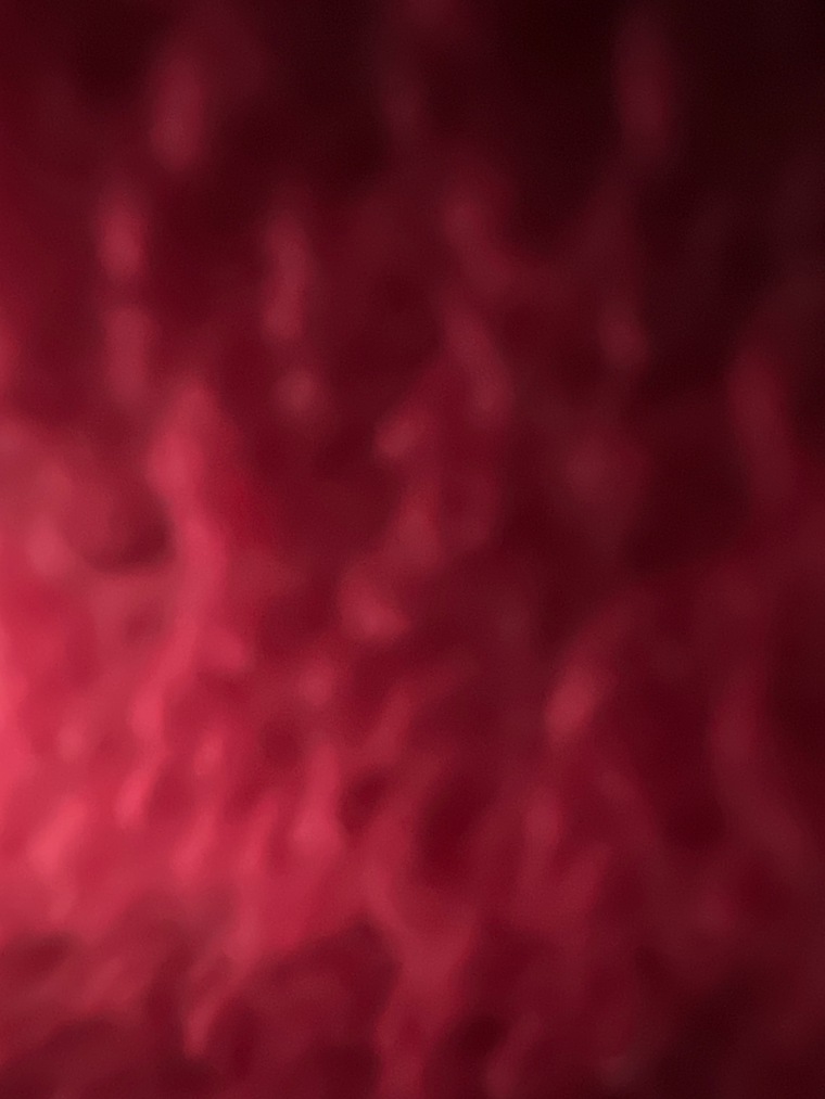 Paulina Larsson banner image