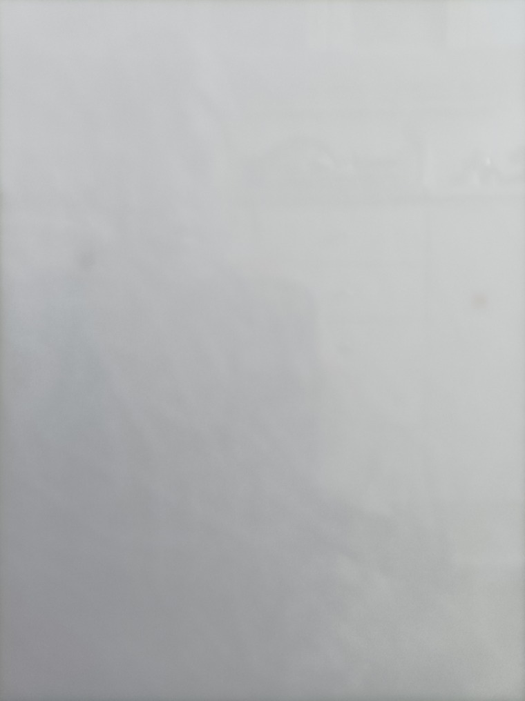 Paulina Porkotrova cover image