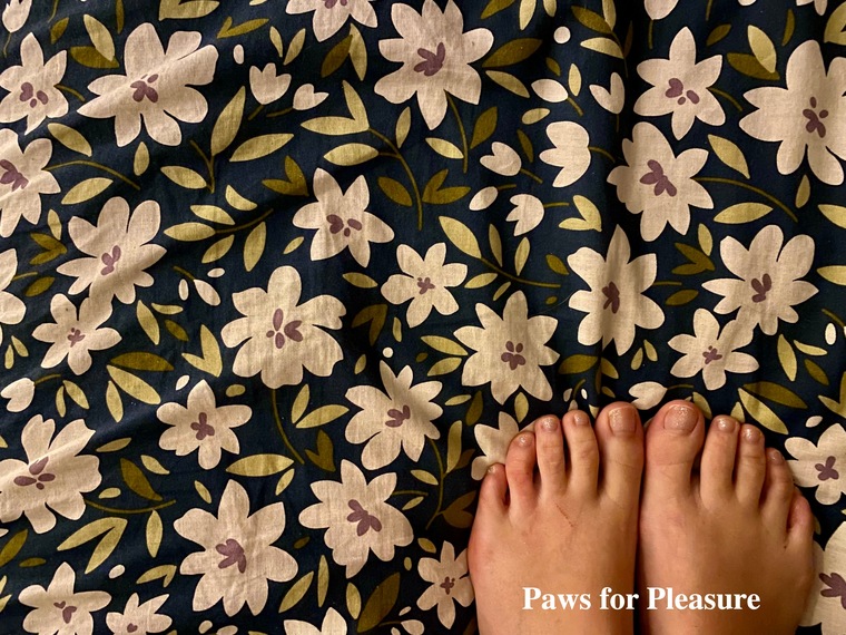 pawsforpleasure banner image