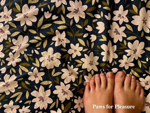 pawsforpleasure cover image
