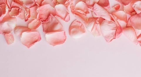 Pbaby cover image