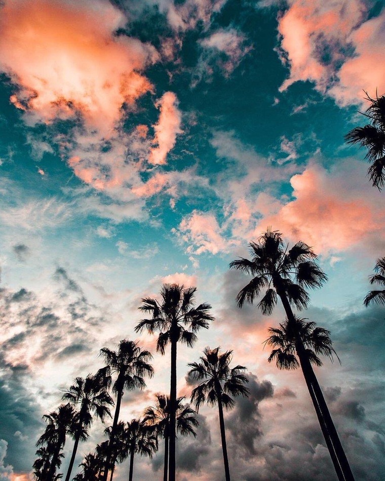 Peaches and Cream cover image