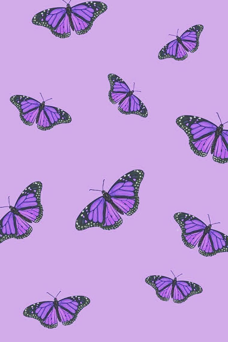 Sidx cover image