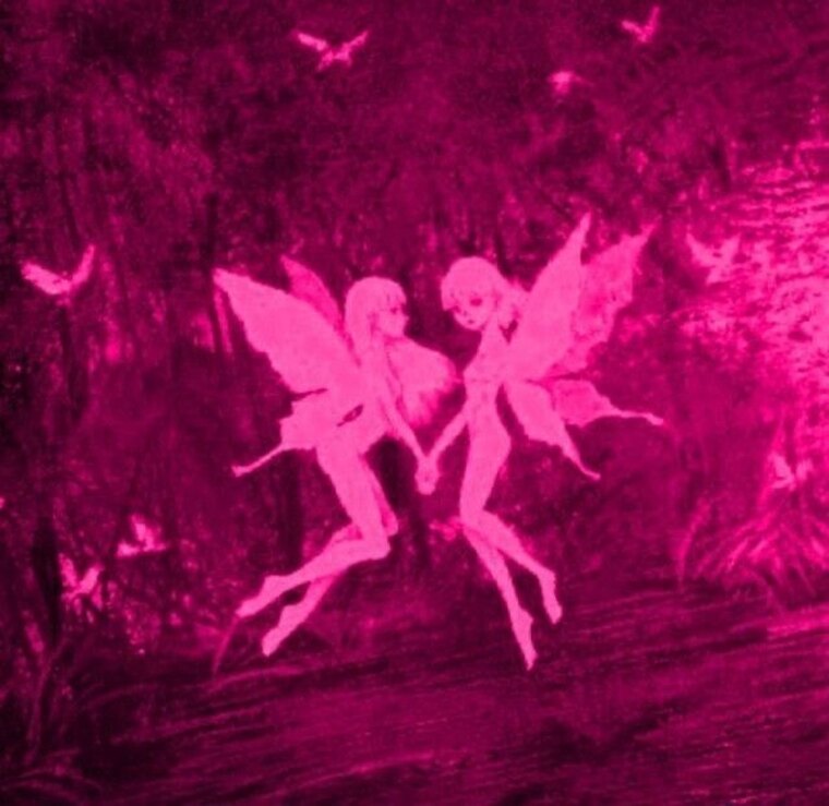 peach rose π§β¨ banner image