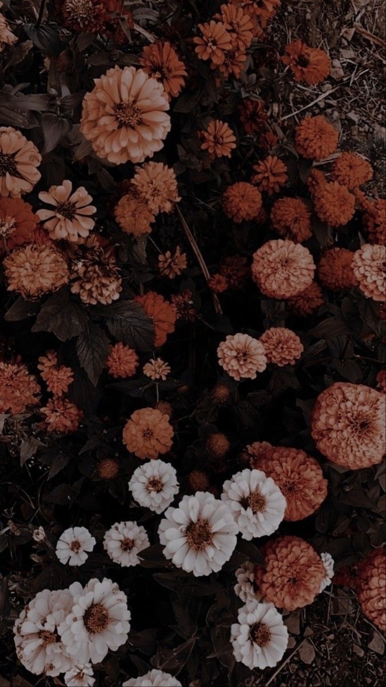 elliebaby banner image