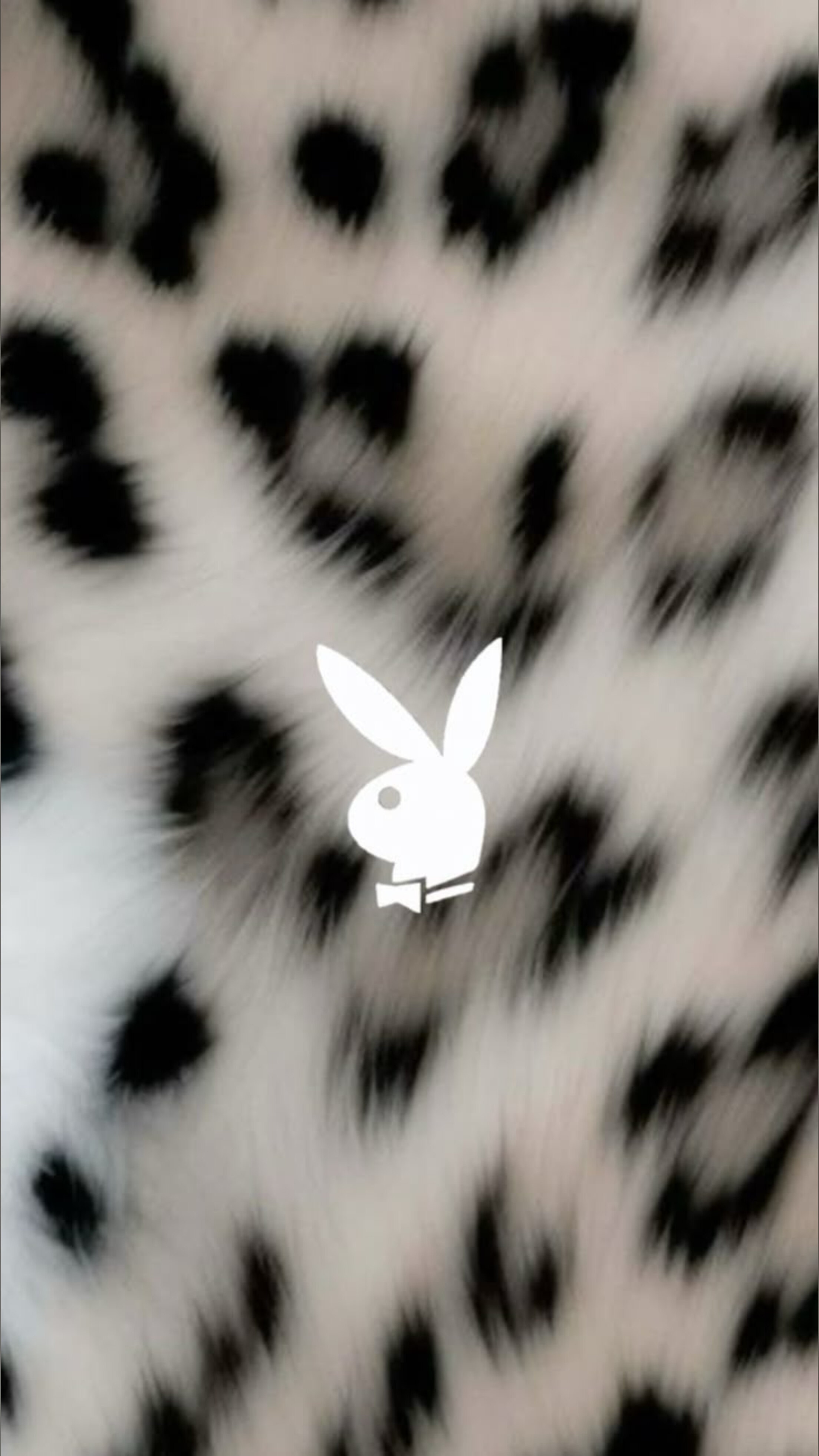 Kirsten banner image