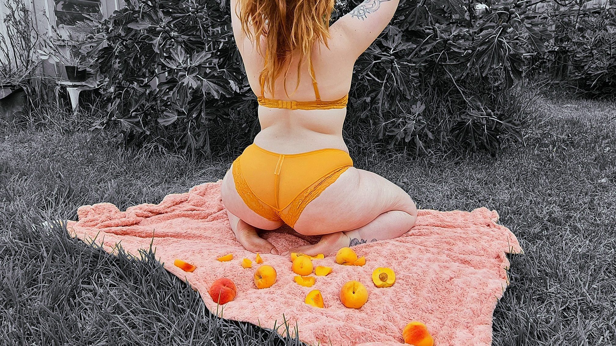 ✨️PeachyPinup✨️ banner image