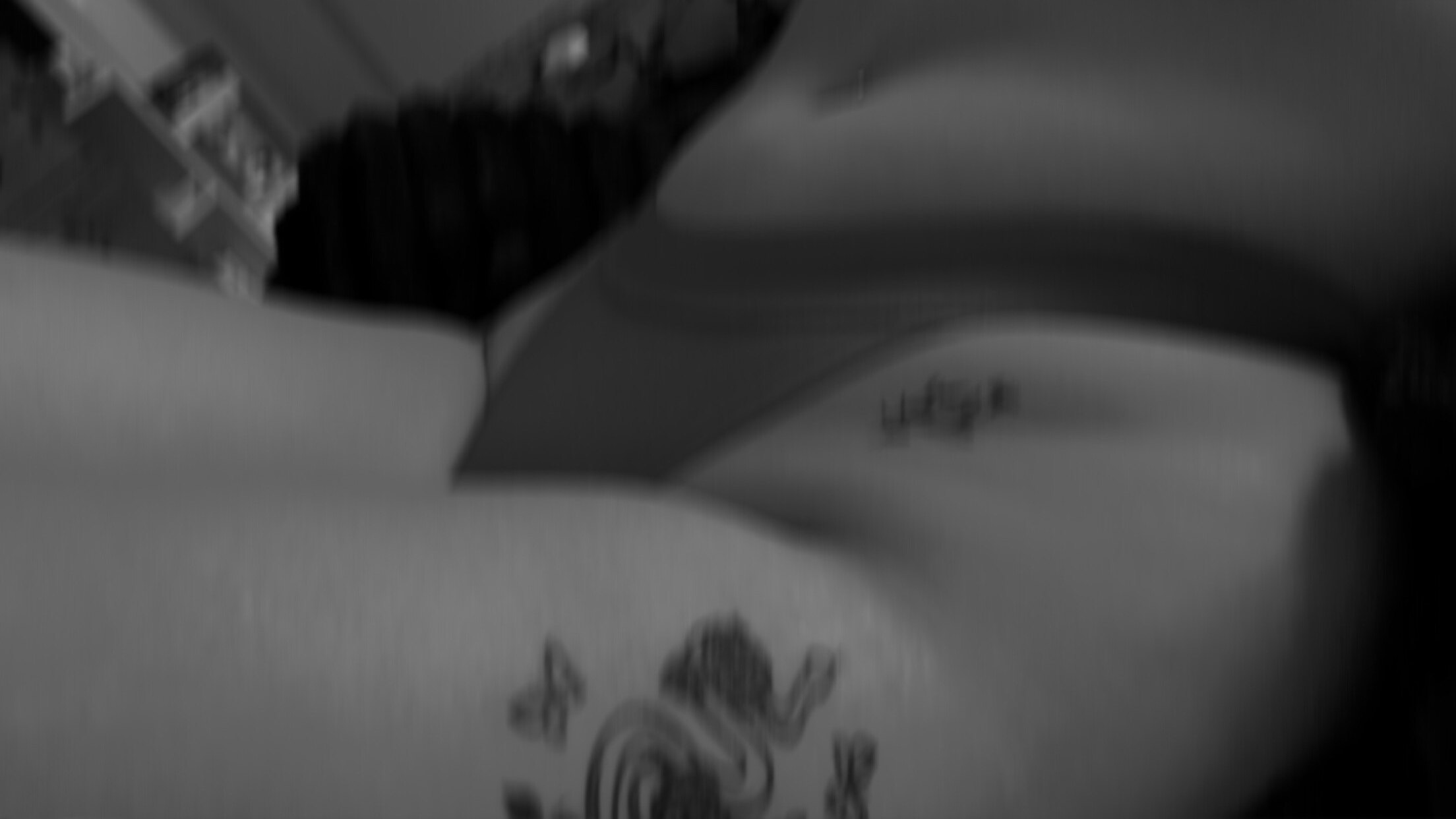 shar🍑 banner image