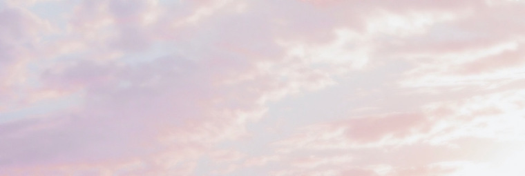 Peachy π banner image