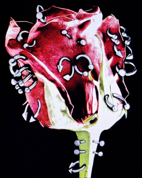 Pearl Darling cover image
