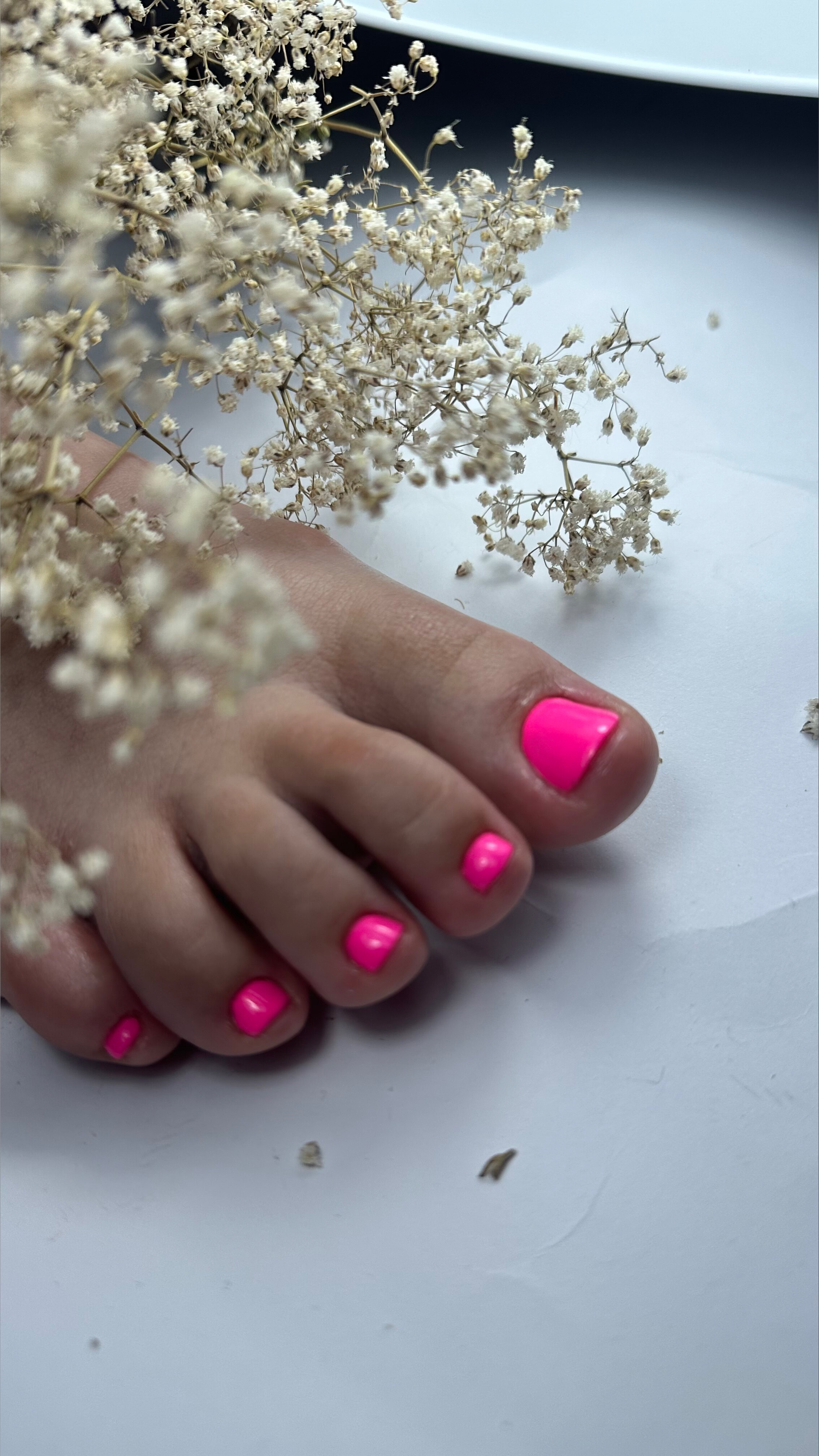 Pedi10princess banner image
