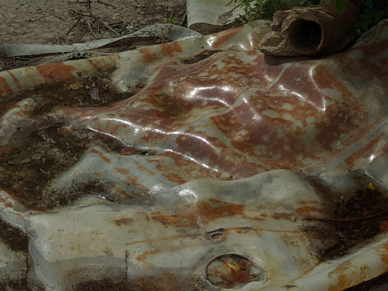 Pedro banner image