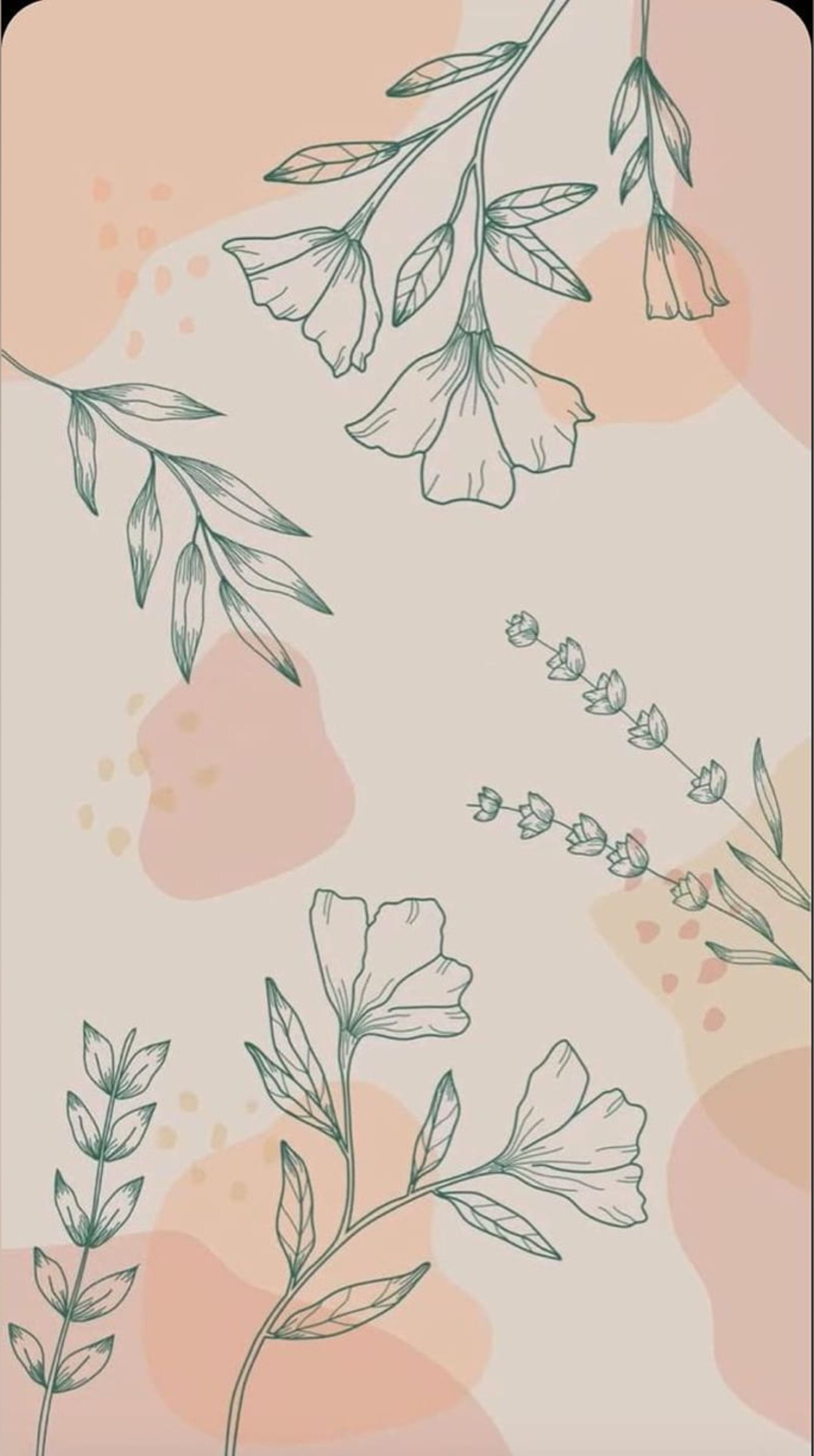 Kate 🌸 banner image