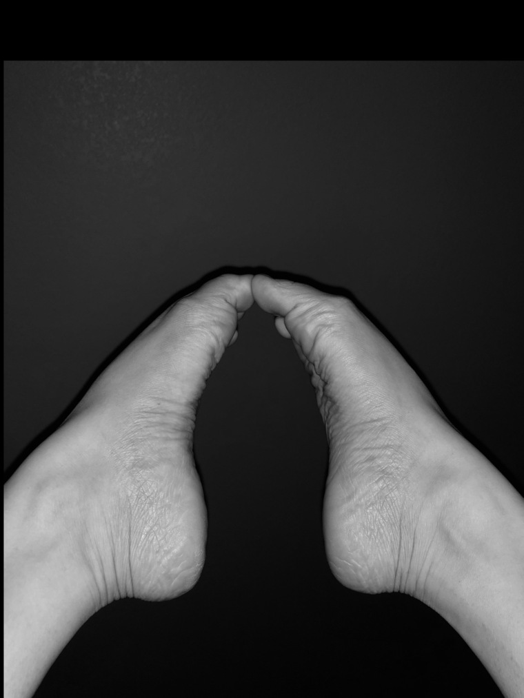 Penelofeet banner image