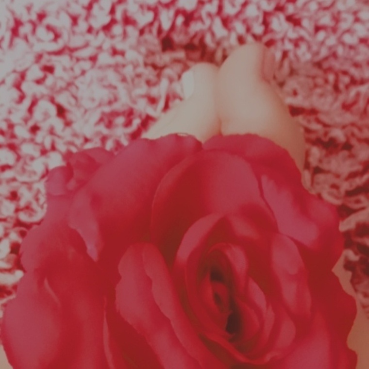 Penelope Flowers cover image