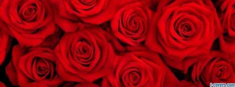 Penelope Roze cover image