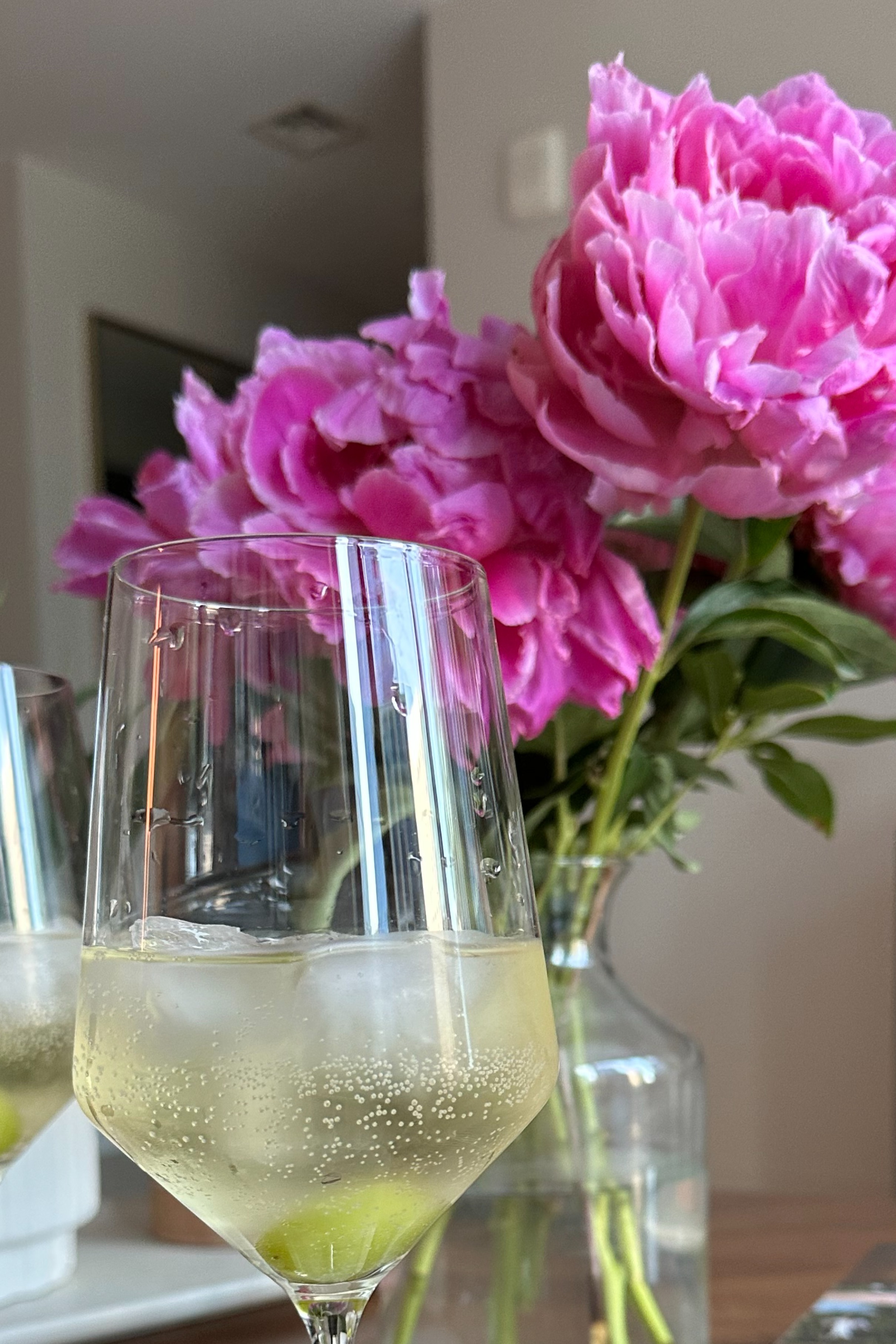 Peony Bloom banner image