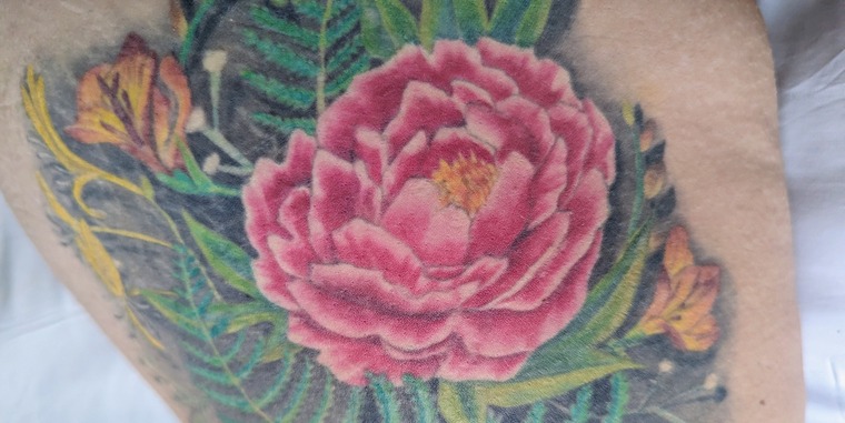 Peony cover image