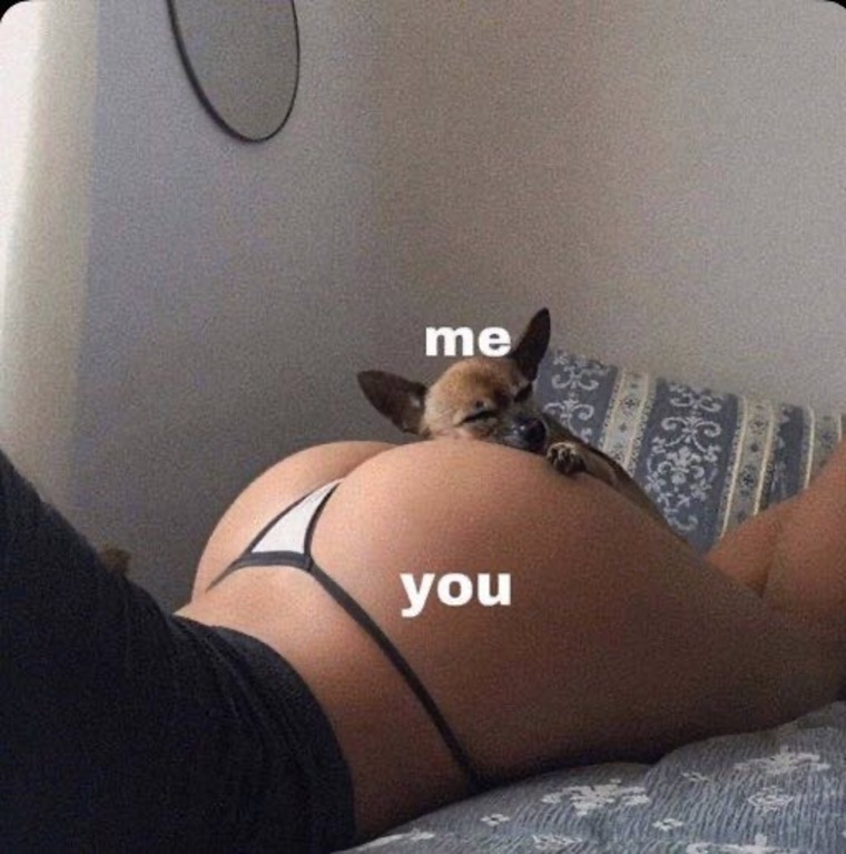 Papi P๐ฆ๐ banner image