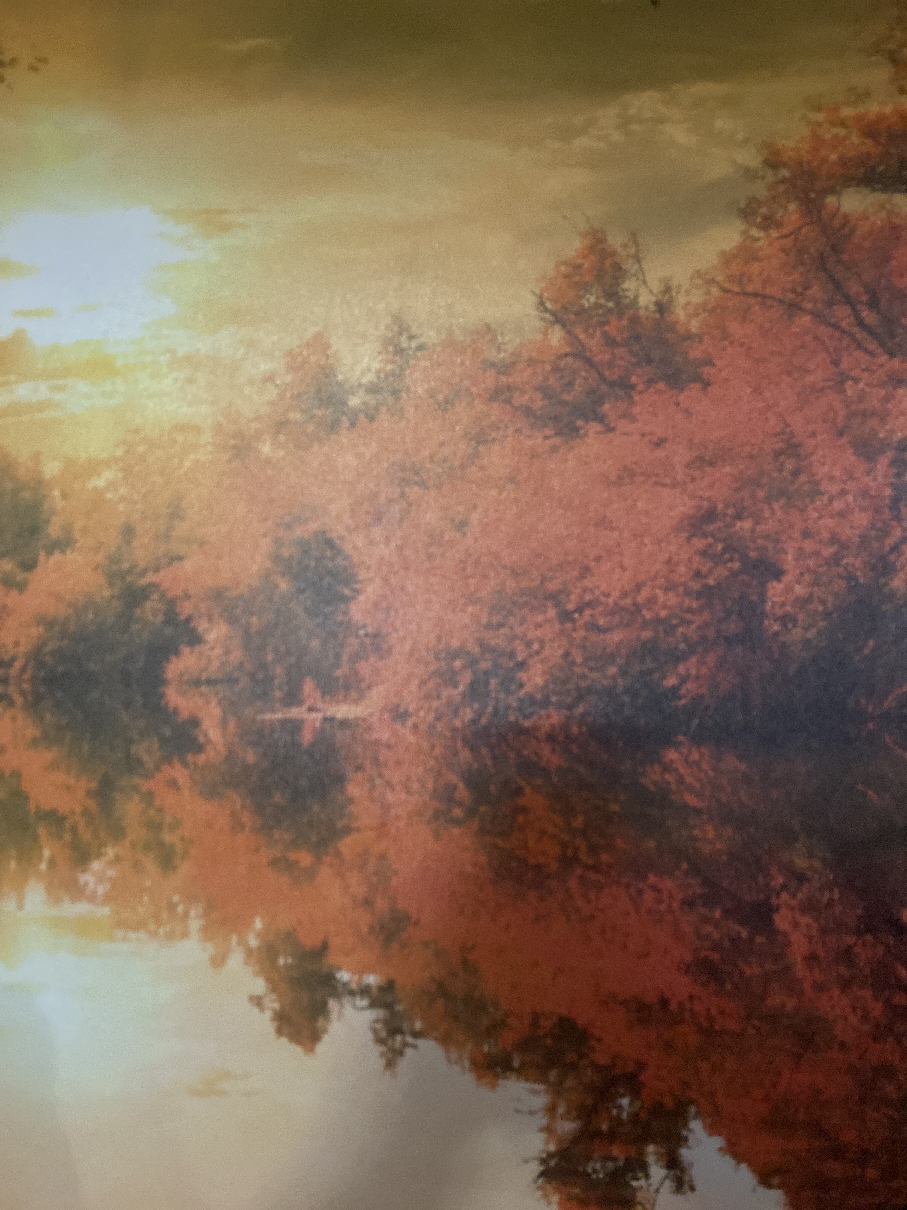 Pepino Latino banner image