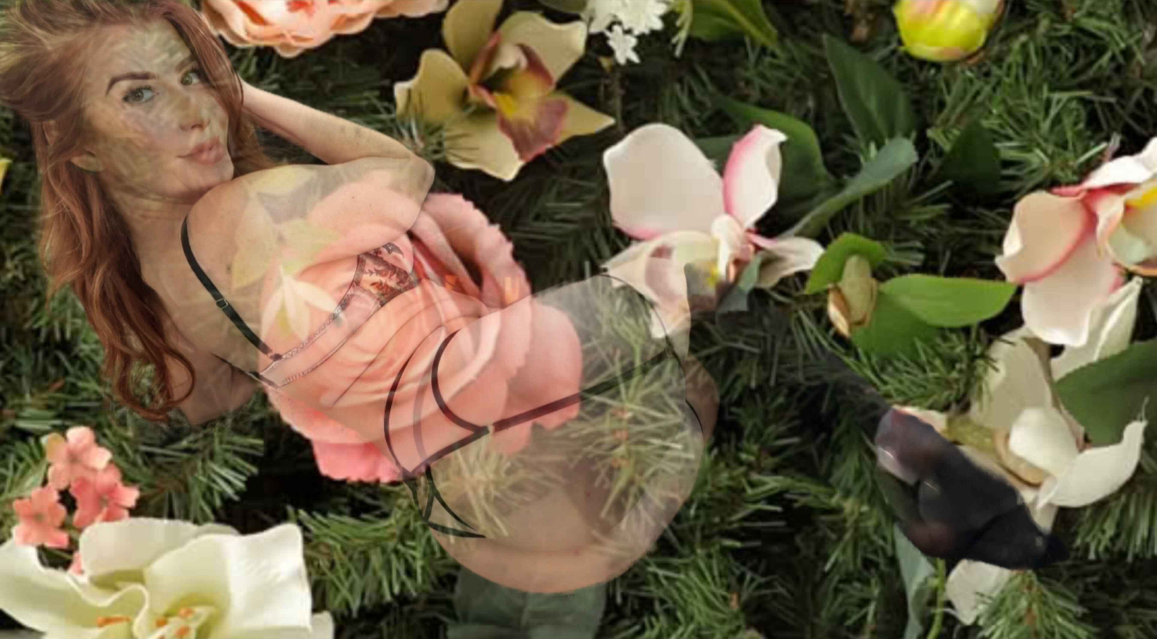 Pepper Rose banner image