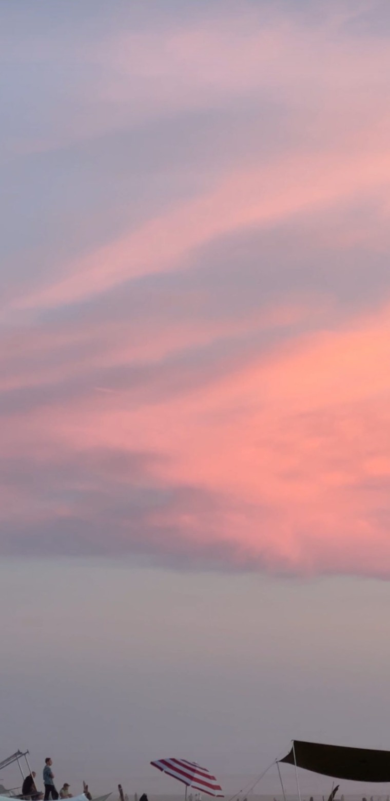 pepperpollie banner image