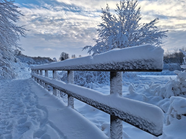 RC cover image