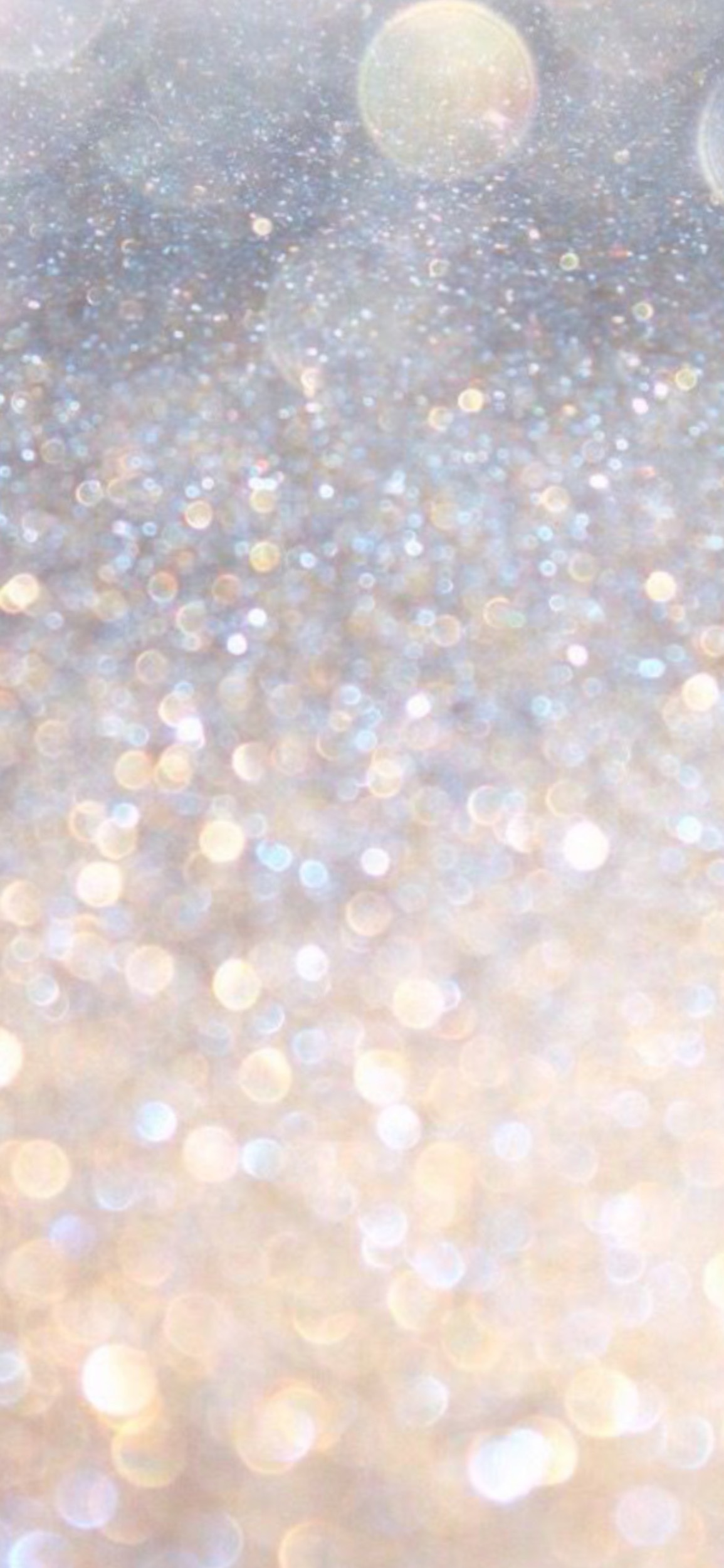 Kayla banner image