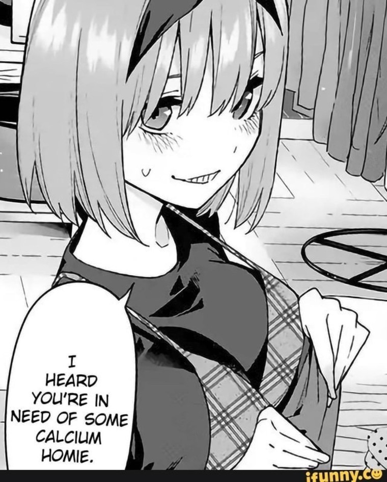 No one banner image