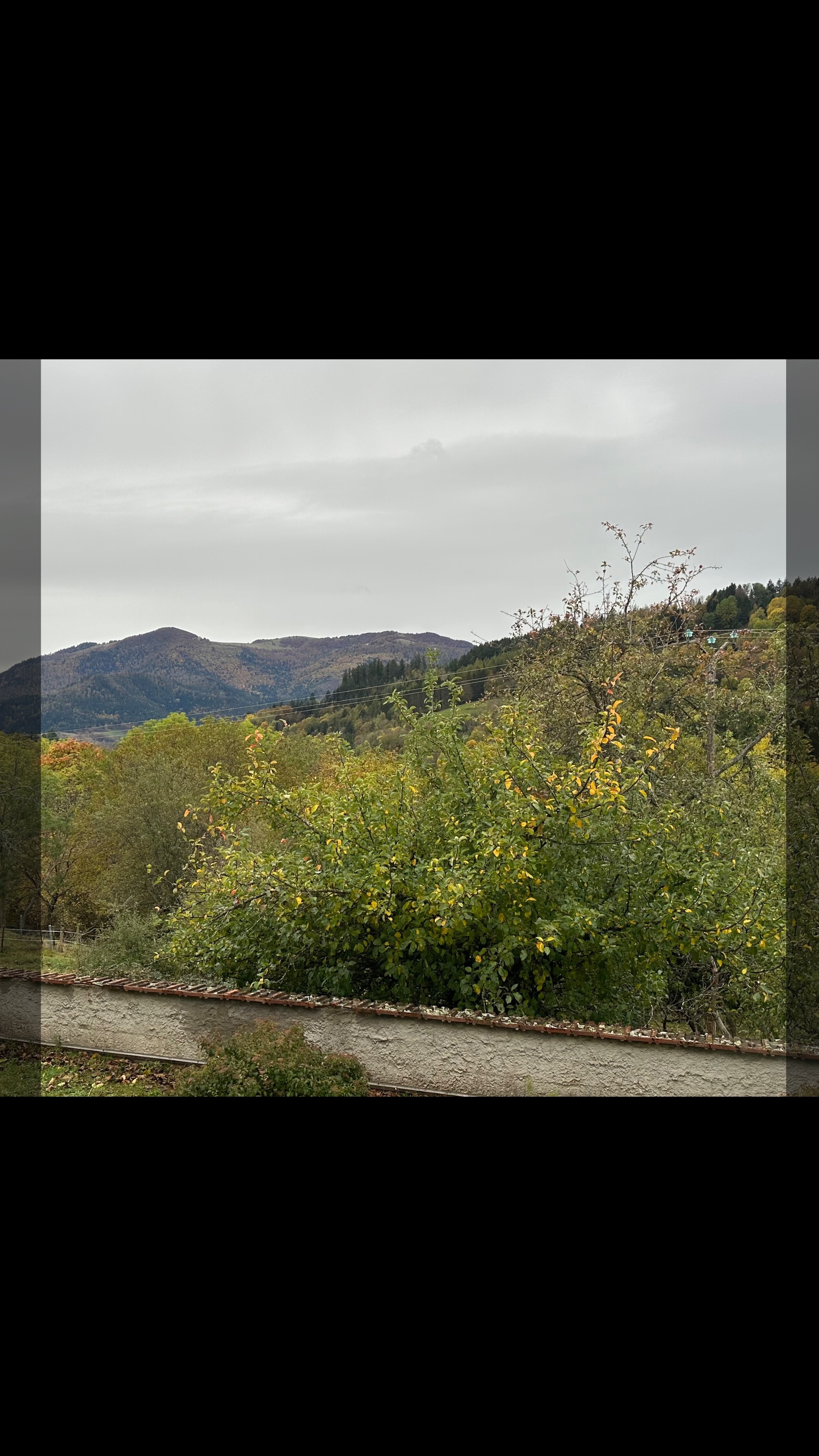 Perle Moreau banner image
