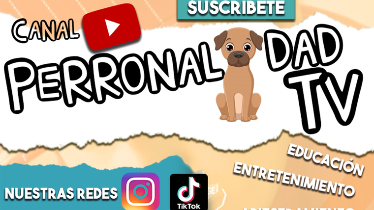 perronalidadtv cover image