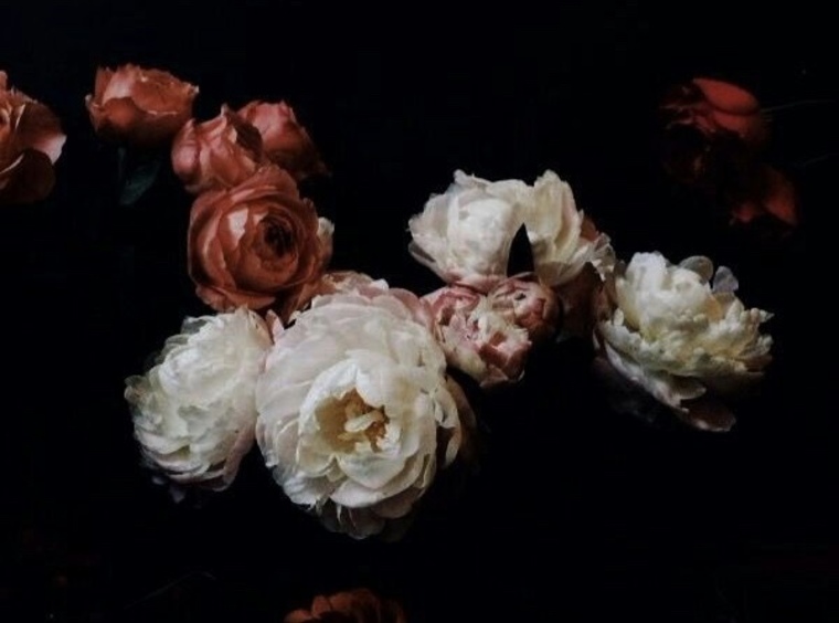 Persephone cover image
