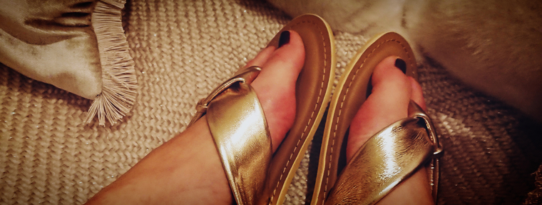 Persian.Rose.Toes cover image