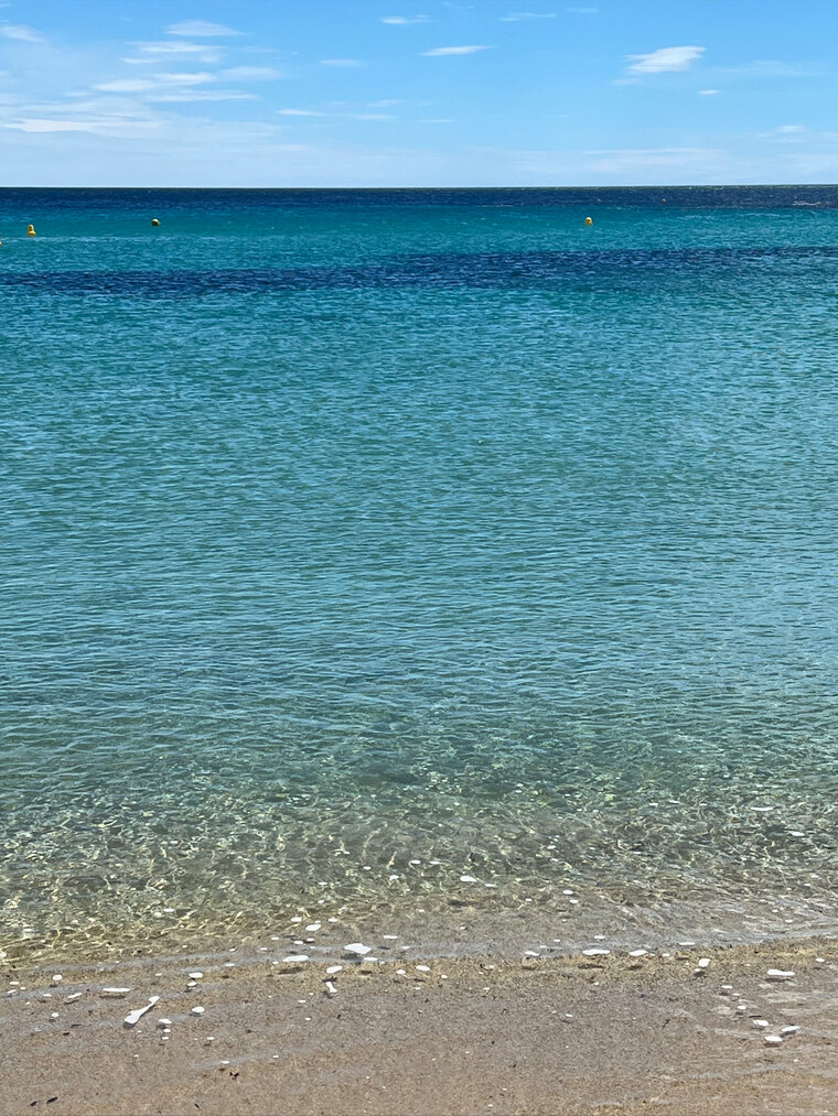 Thick & sweet banner image