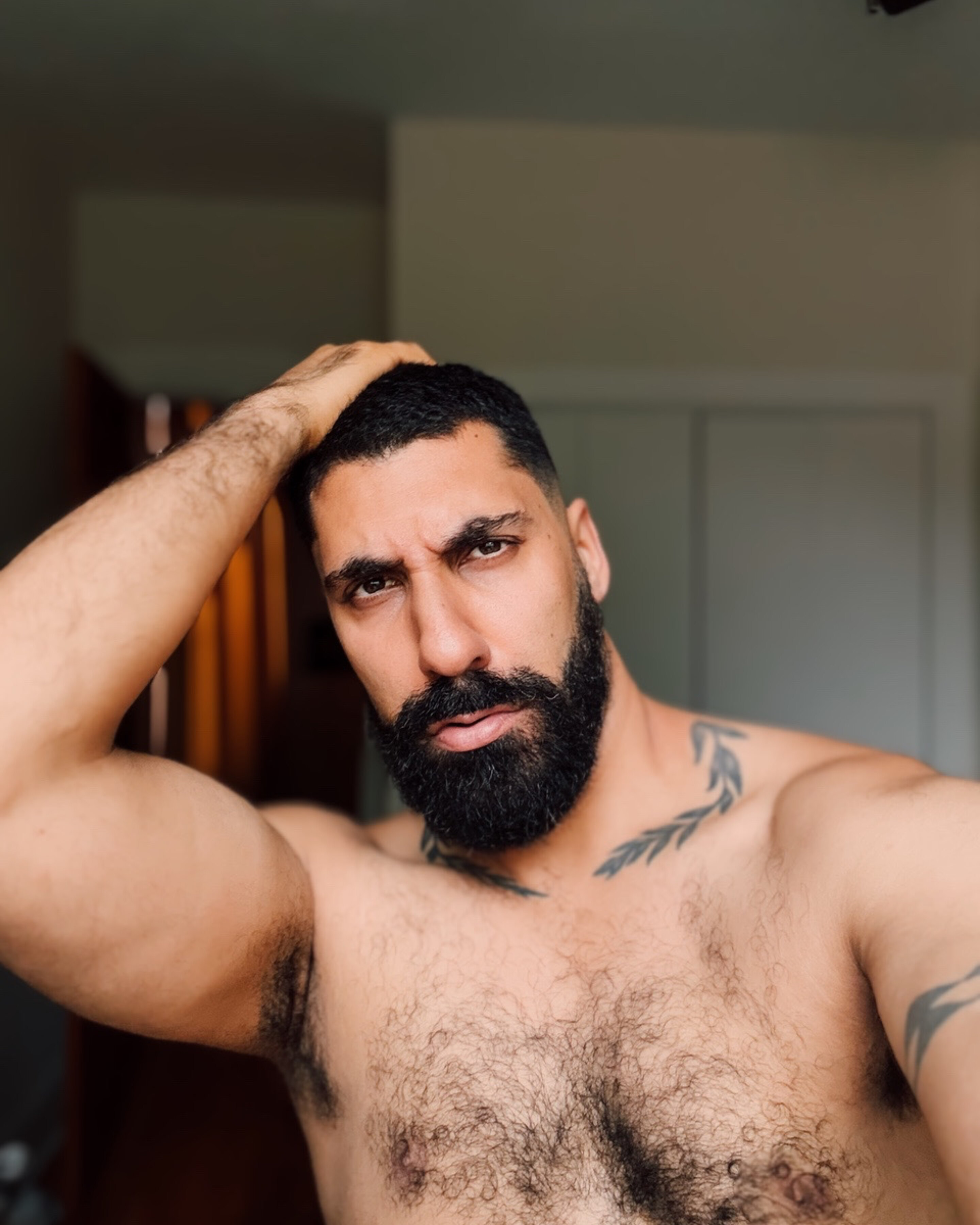 Persian Daddy banner image