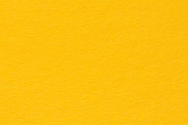 kay banner image