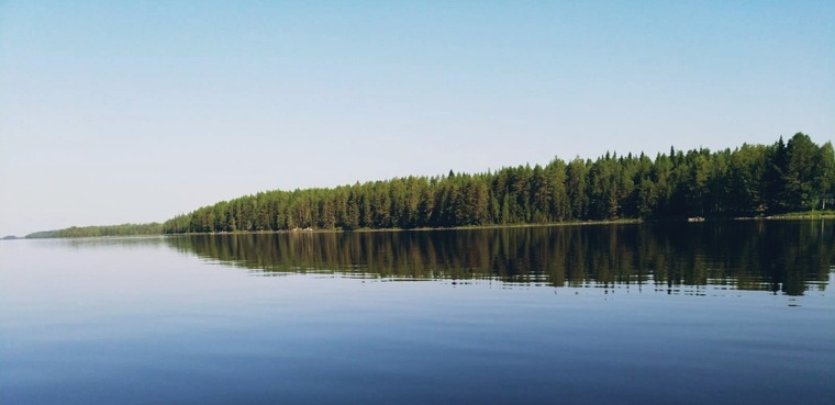 PeterFinn cover image