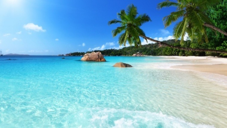 Amber Welch banner image
