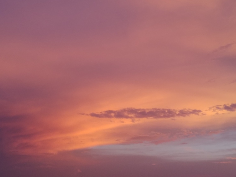 Petite_Ellen banner image