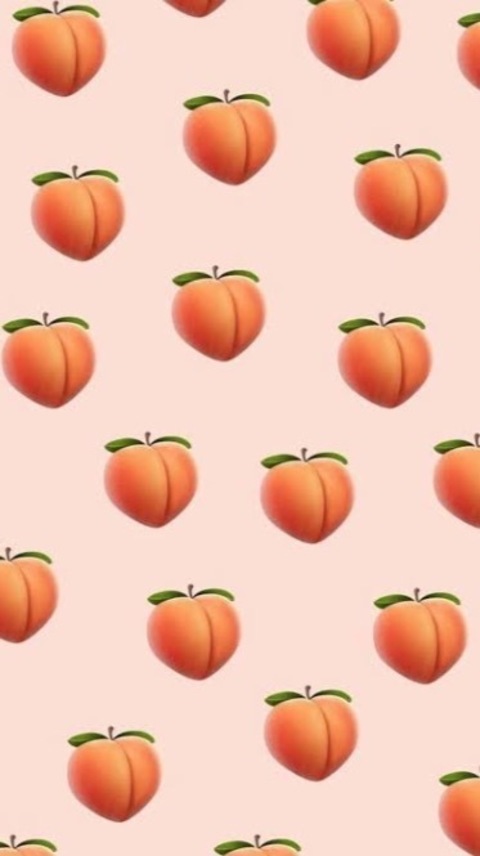 Fernanda Petite cover image