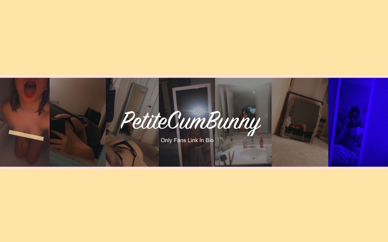 Bunnie banner image