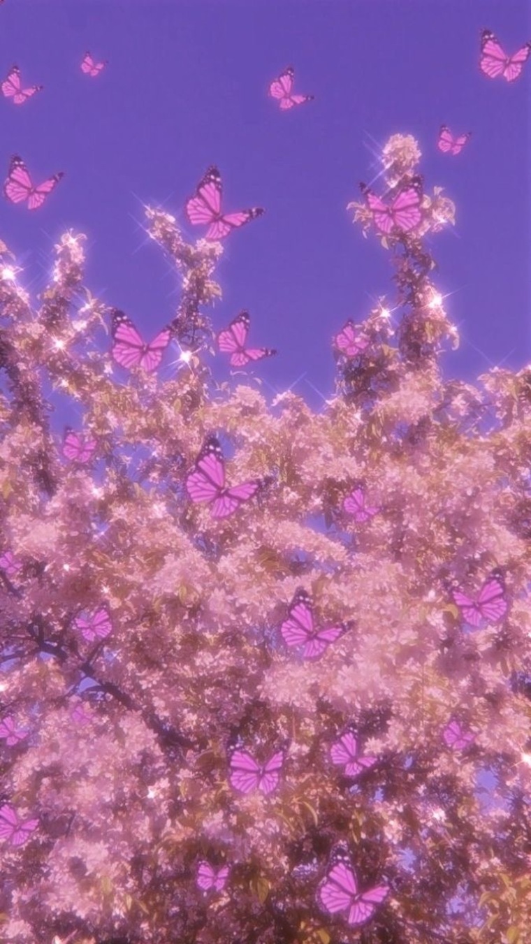 ๐ฆ banner image
