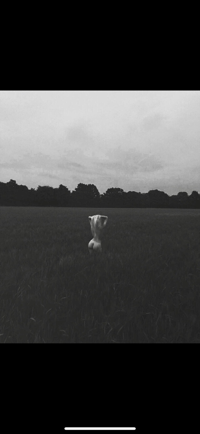 Frankie | TOP 13%🐰 cover image